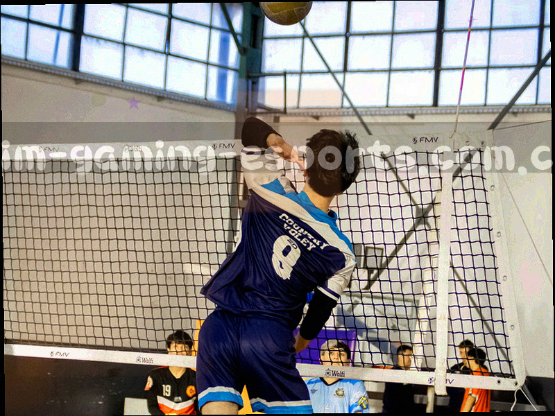 抽象地图示意：定位点、电子网格与周边道路